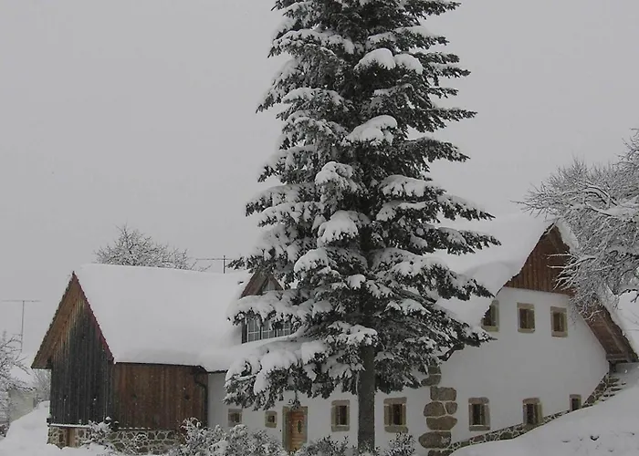 Apartmán Hinterdorfer