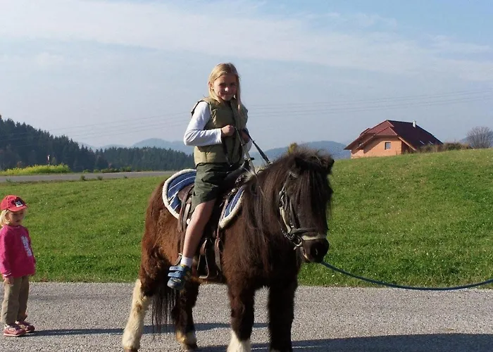 Hinterdorfer 아파트 언터와이센베크