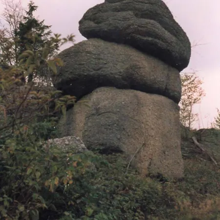 Hinterdorfer *