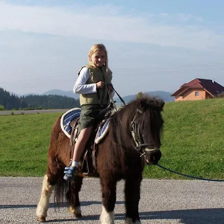 Hinterdorfer Daire Unterweissenbach